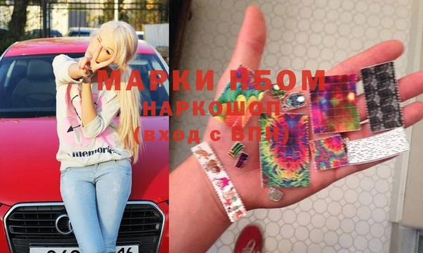 индика Алексин