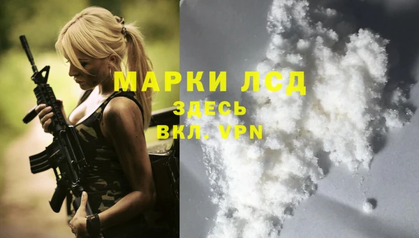 индика Алексин