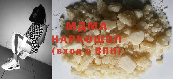 индика Алексин