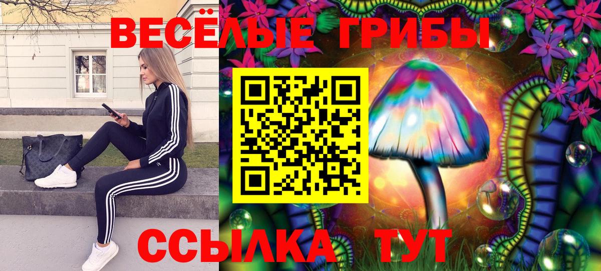 Псилоцибиновые грибы ЛСД  Вход с VPN  Благовещенск 